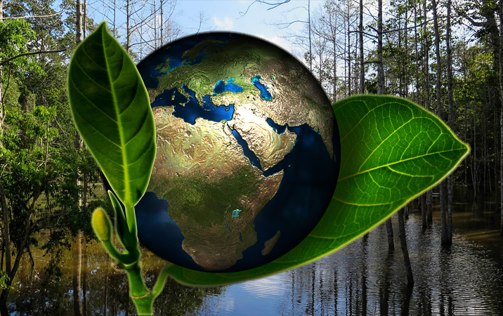 לימודי איכות הסביבה, גינון ונוף אתר קורסים